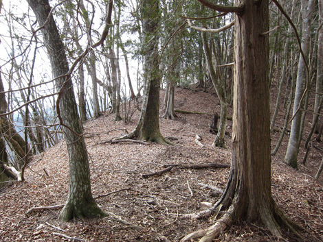20190205hike (201)